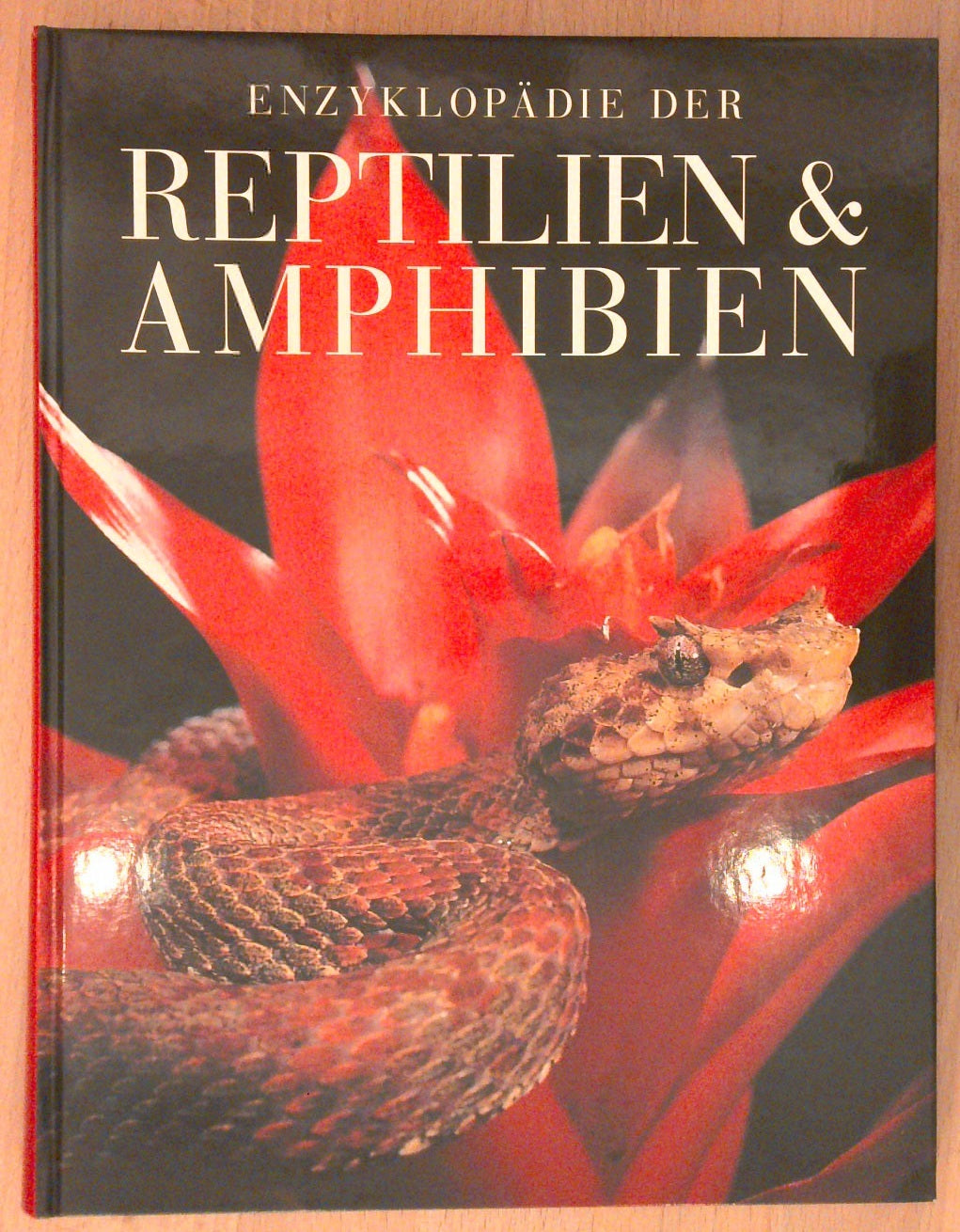Reptilien und Amphibien