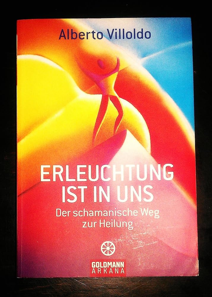 Erleuchtung ist in uns: Der schamanische Weg zur Heilung cover image