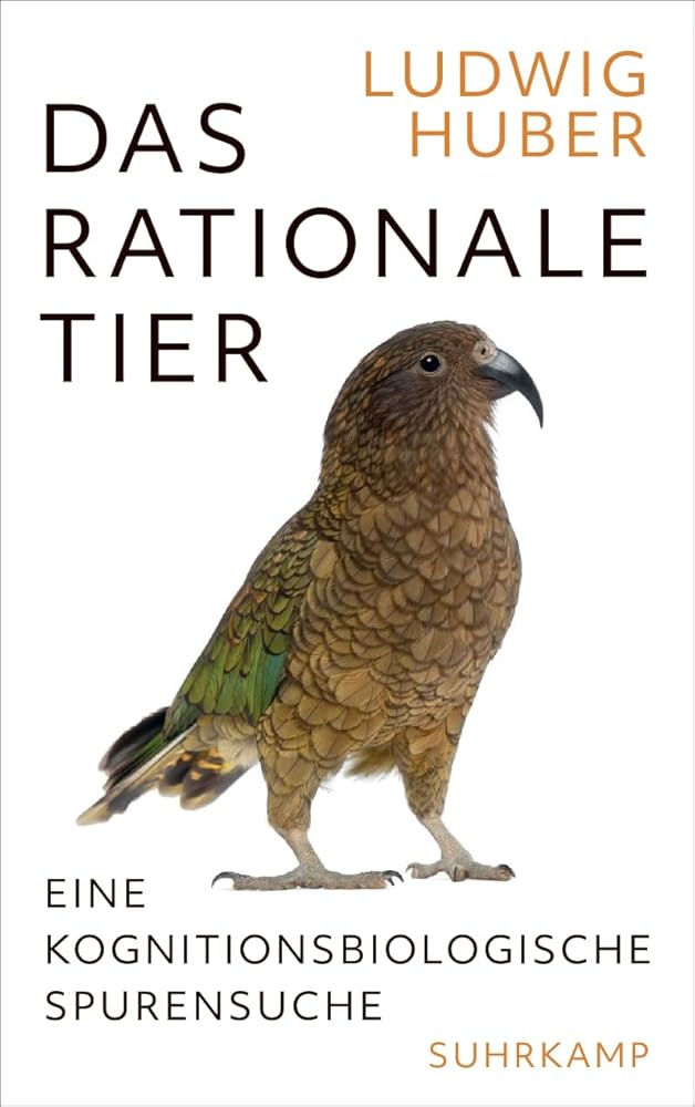 Das rationale Tier: Eine kognitionsbiologische Spurensuche cover image