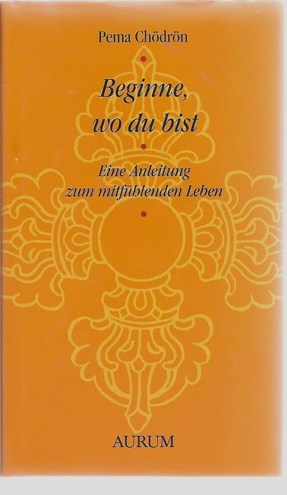 Beginne, wo du bist. Eine Anleitung zum mitfühlenden Leben cover image