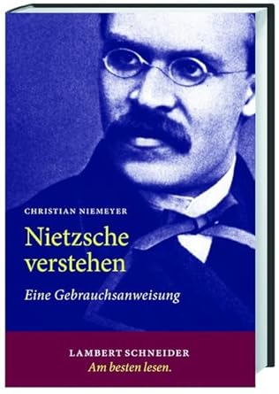 Nietzsche verstehen: Eine Gebrauchsanweisung cover image
