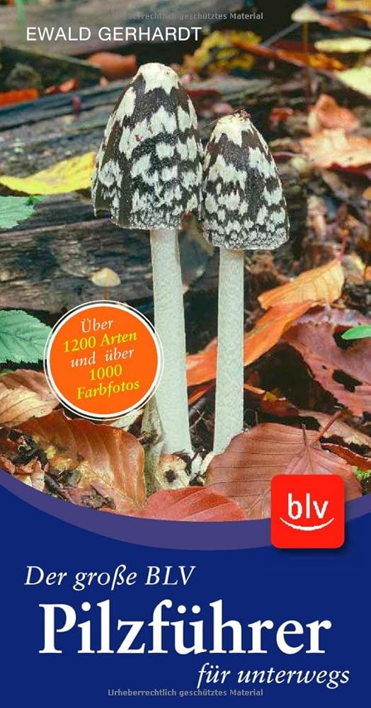 Der große BLV Pilzführer für unterwegs: Über 1200 Arten und über 1000 Farbfotos cover image