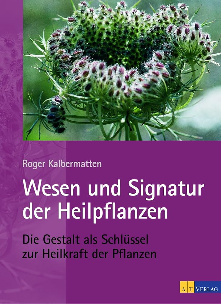 Wesen und Signatur der Heilpflanzen: Die Gestalt als Schlüssel zur Heilkraft der Pflanzen cover image