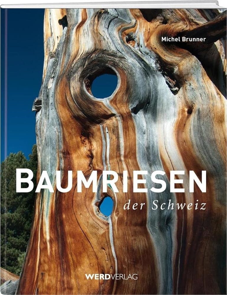 Baumriesen der Schweiz cover image