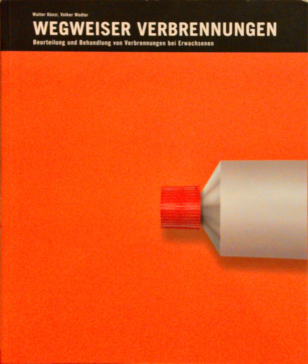 Wegweiser Verbrennungen. Beurteilung und Behandlung von Verbrennungen bei Erwachsenen.