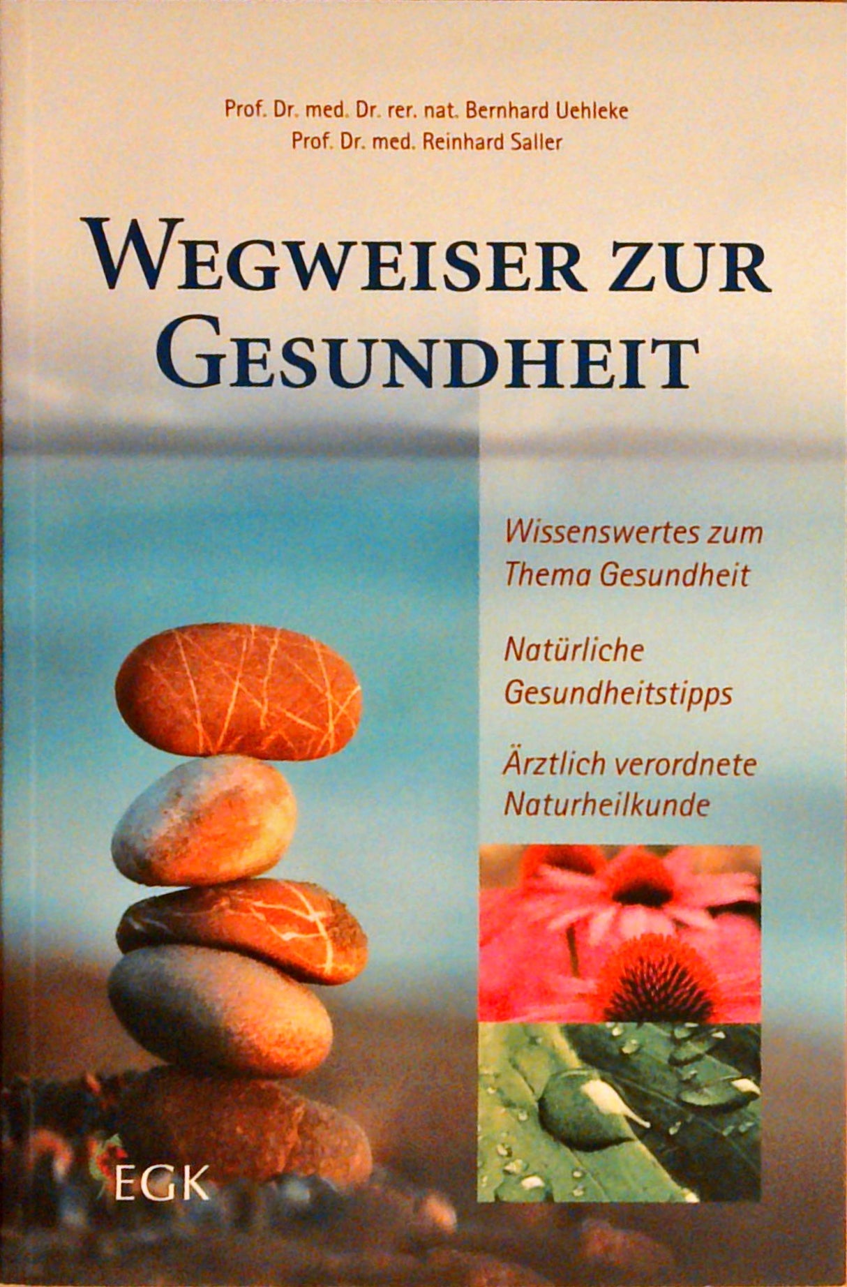 Wegweiser zur Gesundheit.