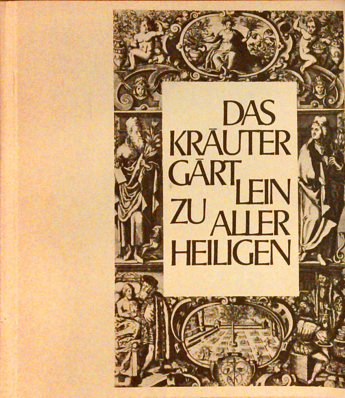 Das Kräutergärtlein zu Allerheiligen Schaffhausen