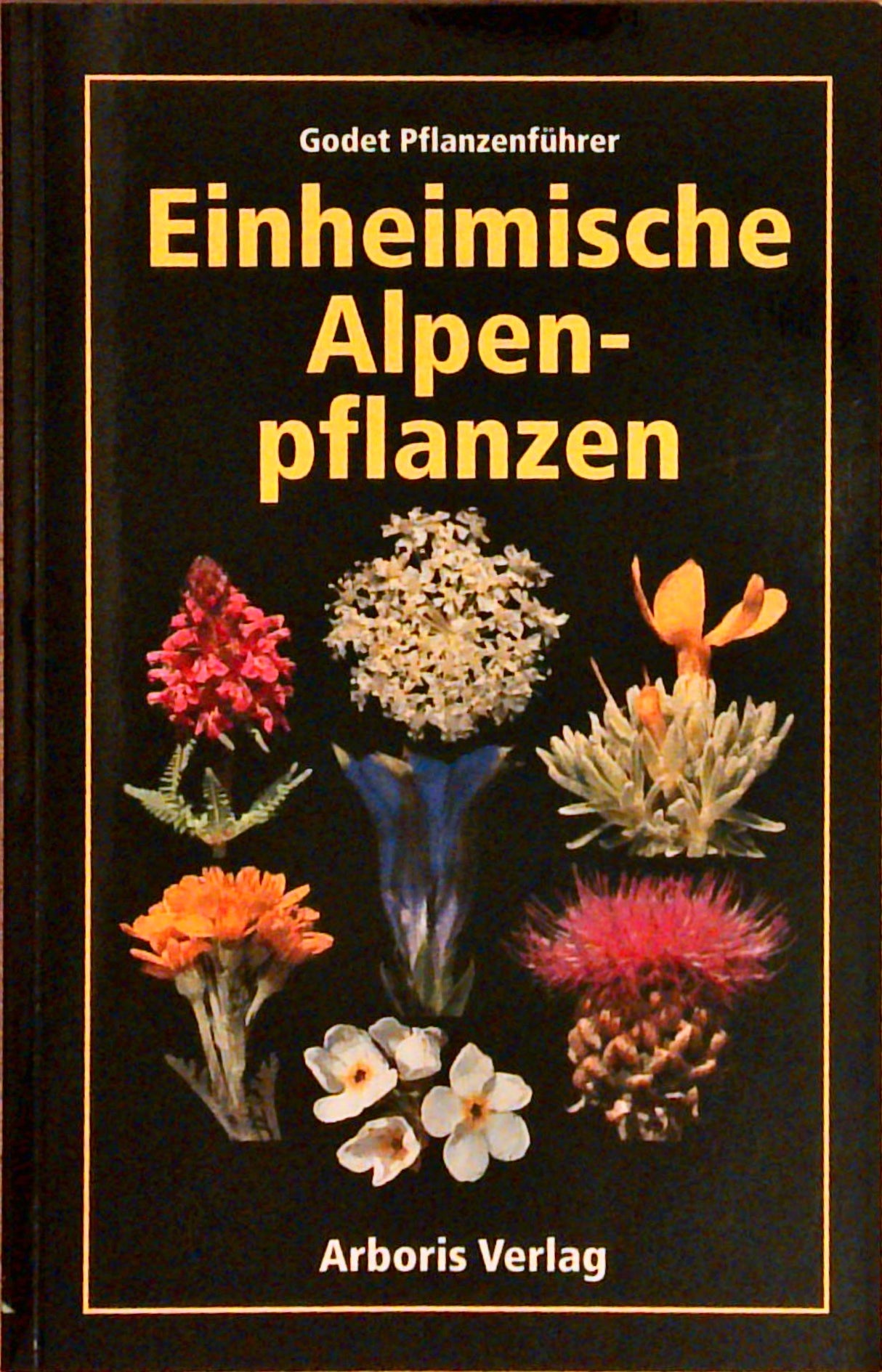 Einheimische Alpenpflanzen. Godet Pflanzenführer.