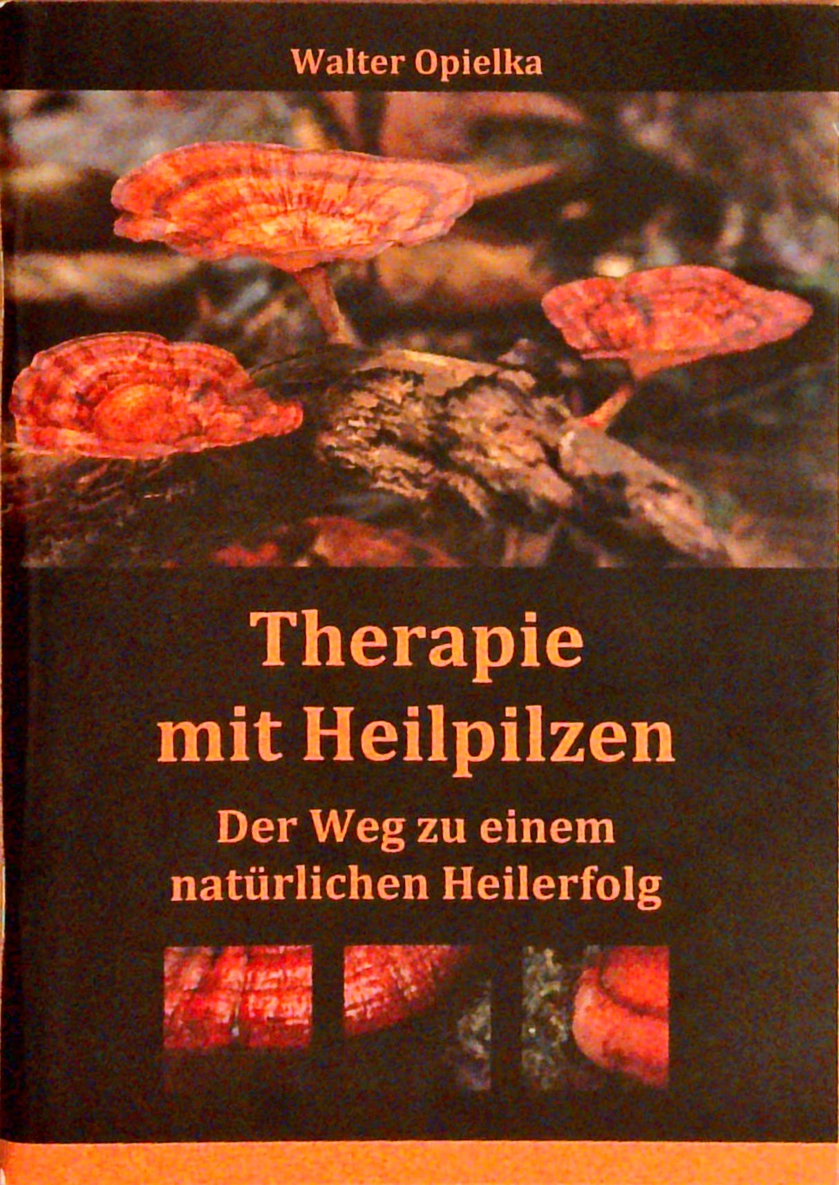 Therapie mit Heilpilzen. Der Weg zu einem natürlichen Heilerfolg