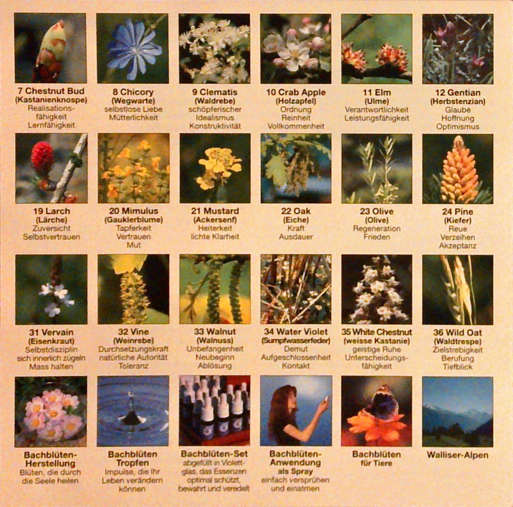 Die Welt der Bachblüten Memory. Spiel und Orakel