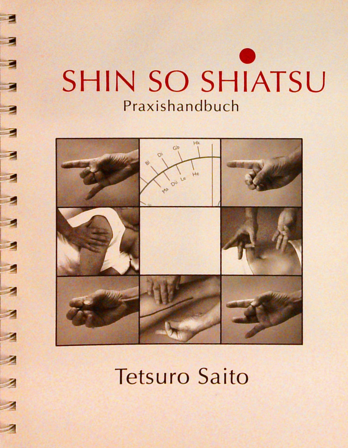 Shin So Shiatsu. Praxishandbuch