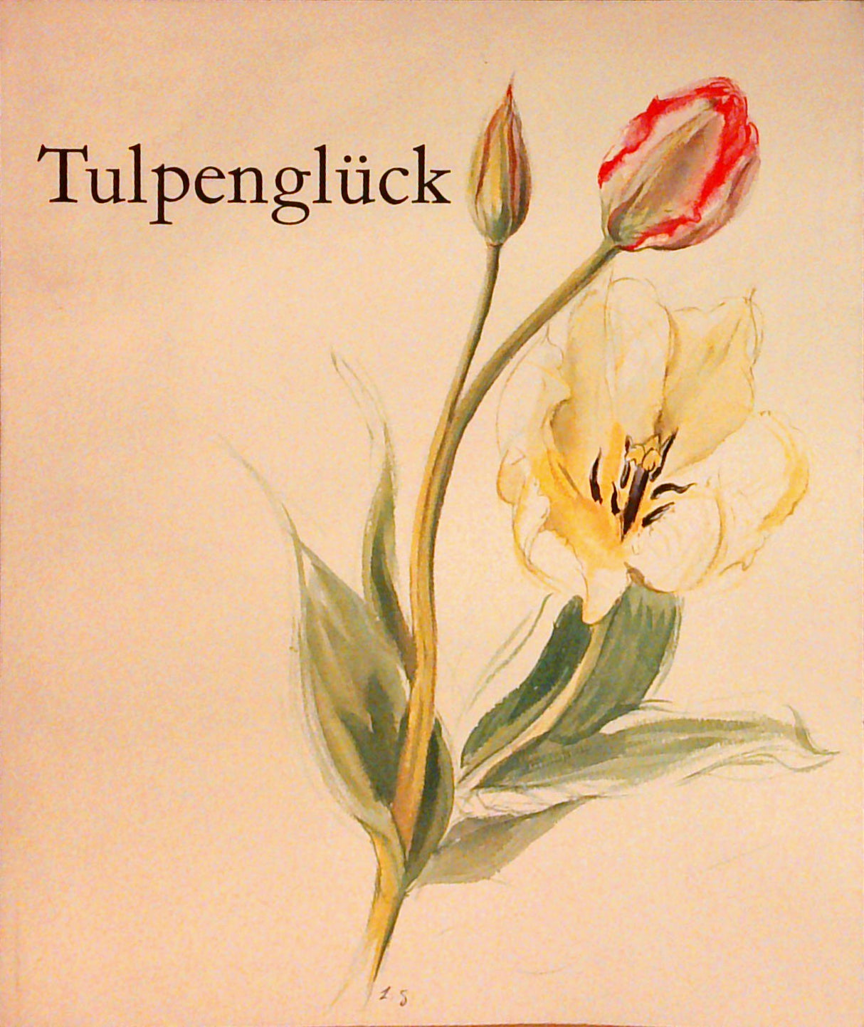 Tulpenglück. Ein Märchen