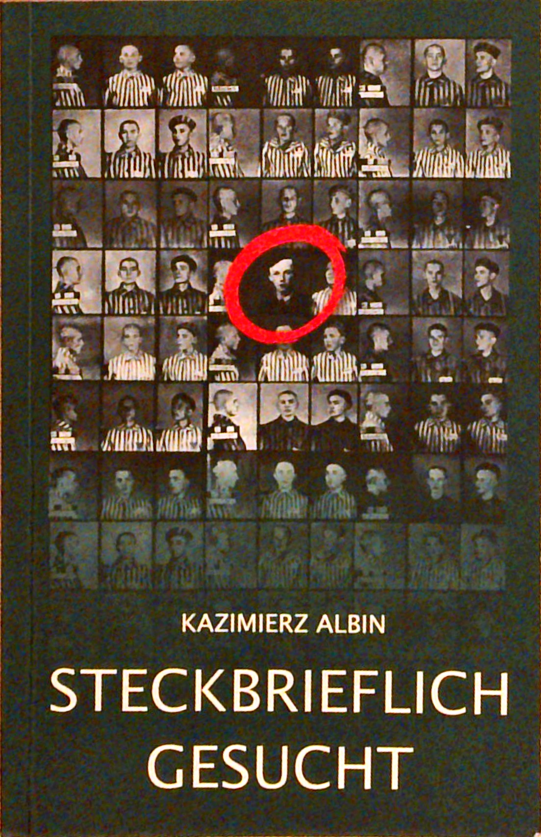 Steckbrieflich gesucht (German Edition)