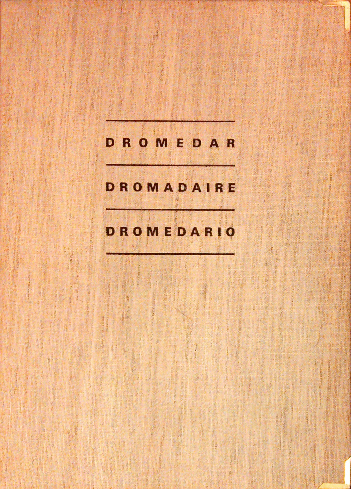 Magazin Dromedar 17 x Orientteppich-Gazette