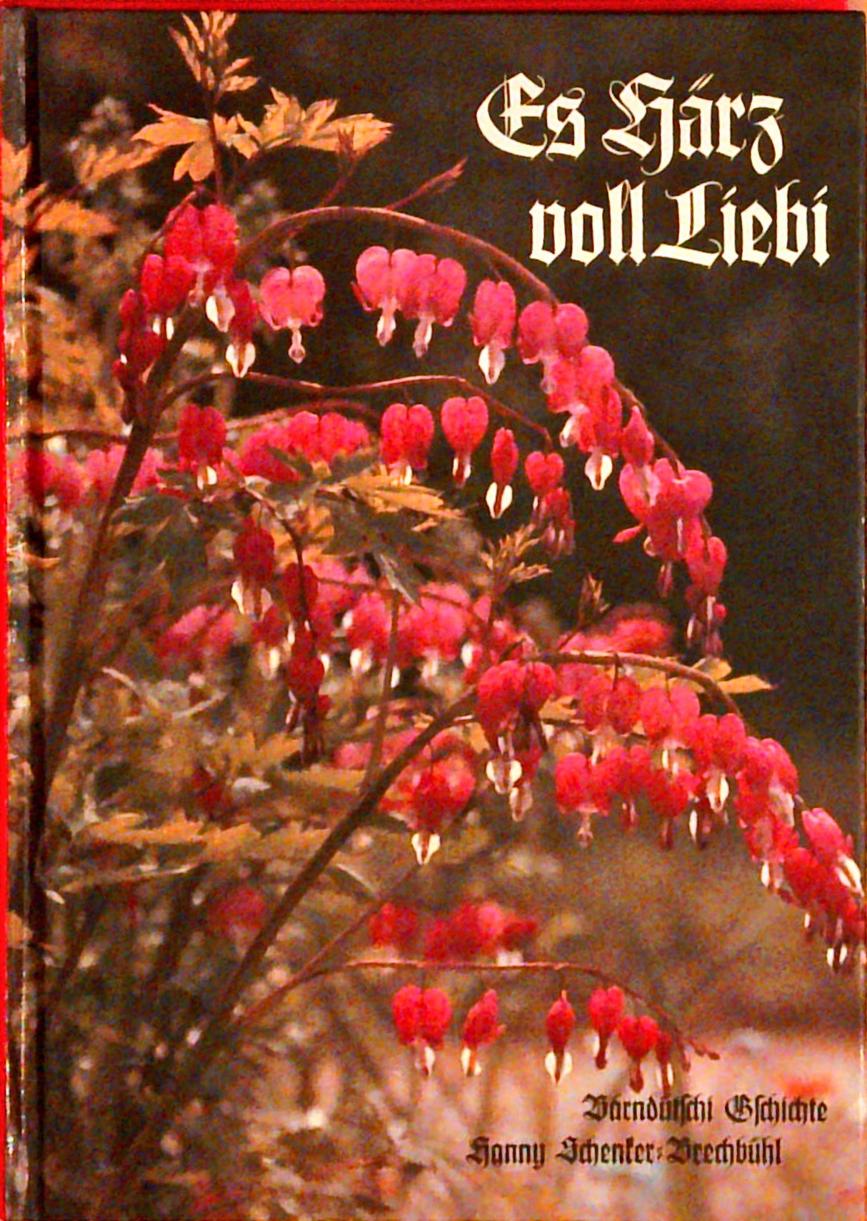 Es Härz voll Liebi. Bärndütschi Gschichte