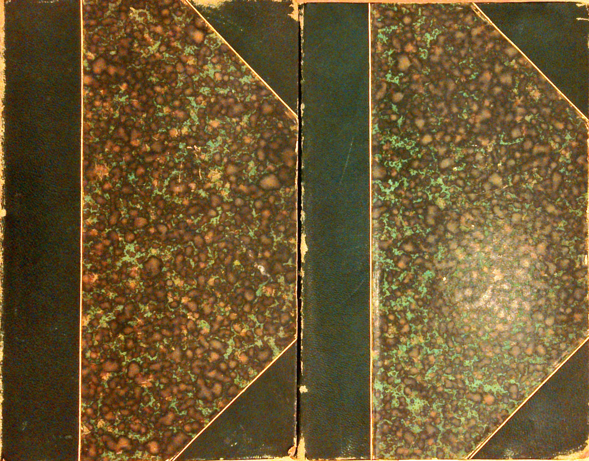 Goethe's Italiänische Reise. Erster und zweiter Band.