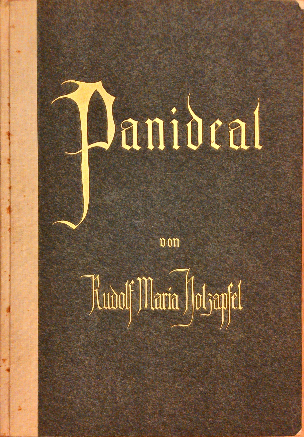 Panideal: Das Seelenleben und seine soziale Neugestaltung. Zwei Bände.