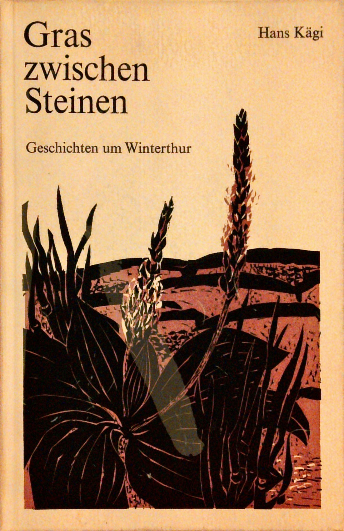 Gras zwischen Steinen: Geschichten um Winterthur
