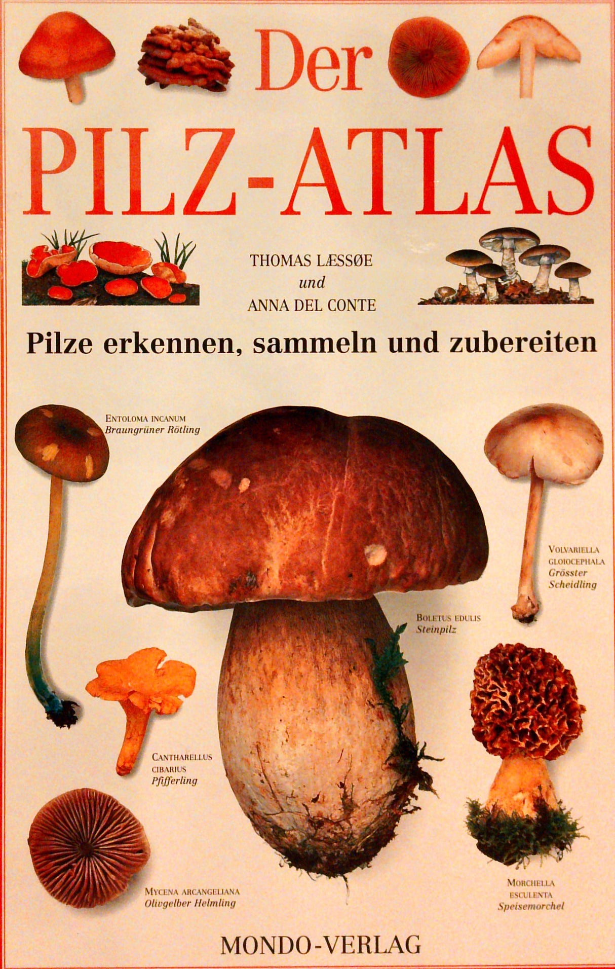 Der Pilz-Atlas. Pilze erkennen, sammeln und zubereiten.