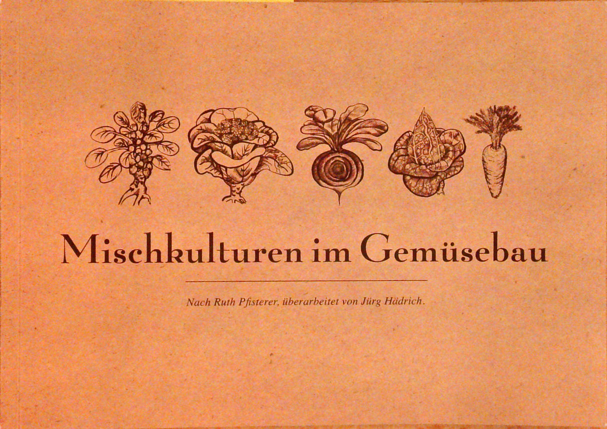 Mischkulturen im Gemüsebau.