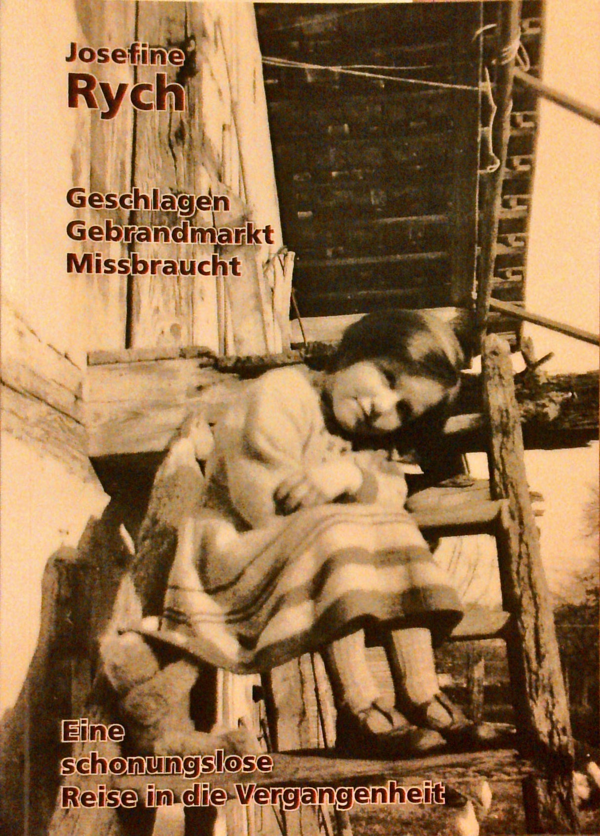 Geschlagen - Gebrandmarkt - Missbraucht : eine schonungslose Reise in die Vergangenheit.