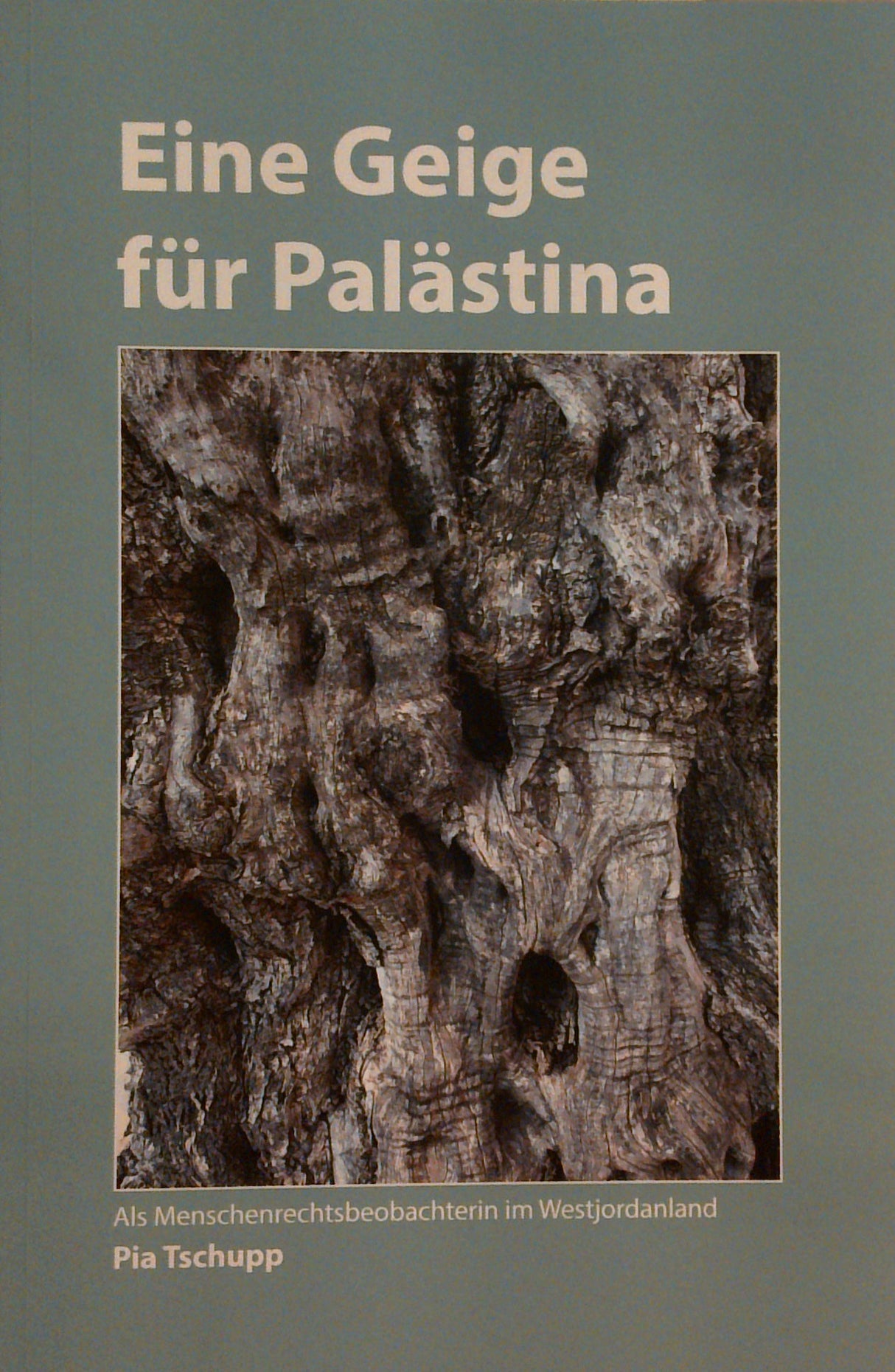 Eine Geige für Palästina: Als Menschenrechtsbeobachterin im Westjordanland