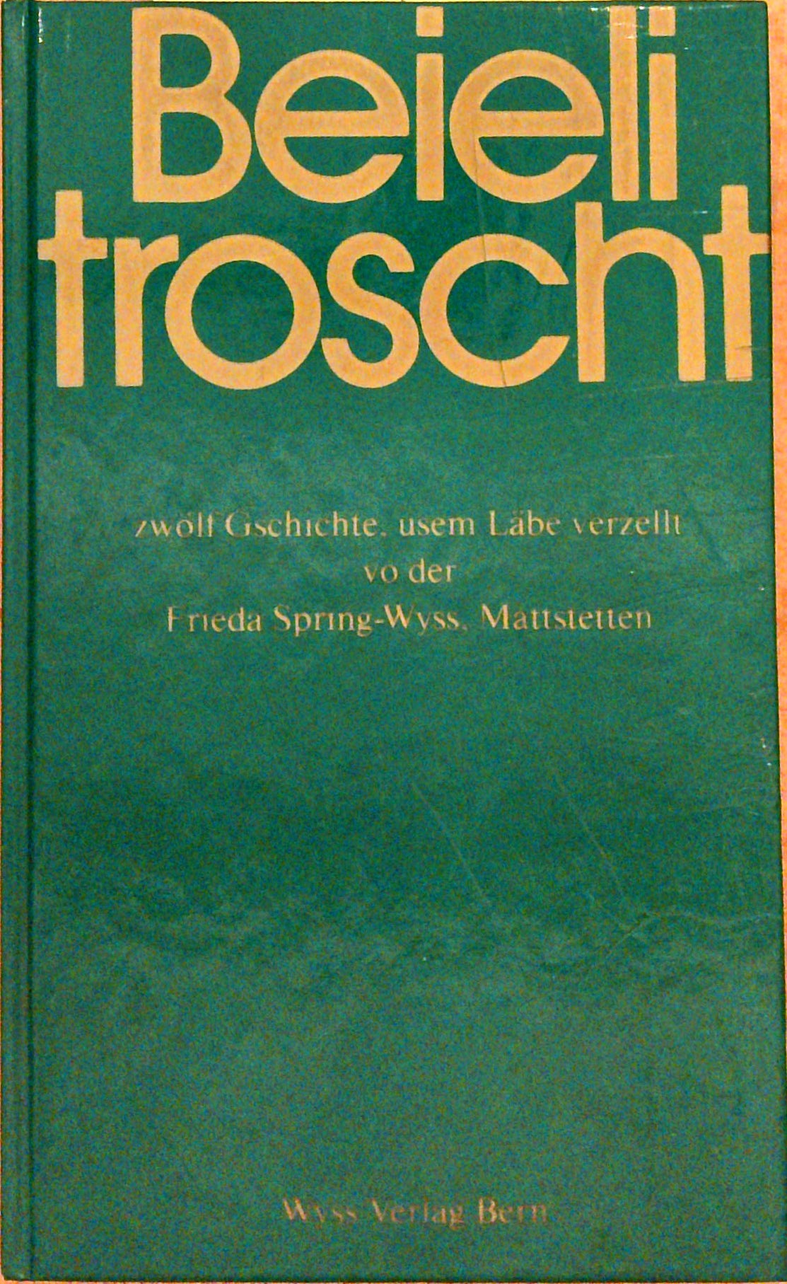 Beielitroscht: Zwölf Gschichte, usem Läben erzellt (German Edition)