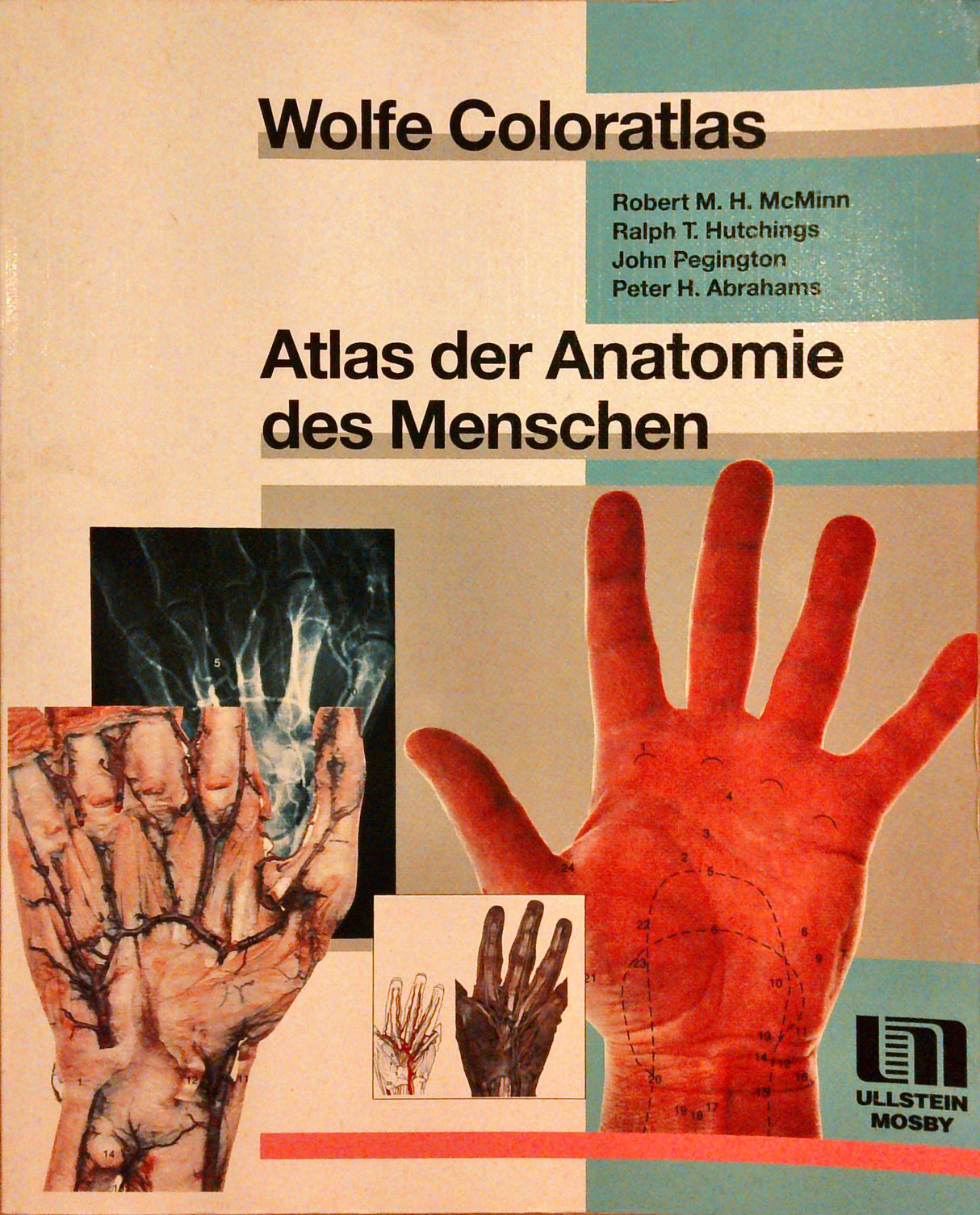 Wolfe Coloratlas. Atlas der Anatomie des Menschen. Verkleinert