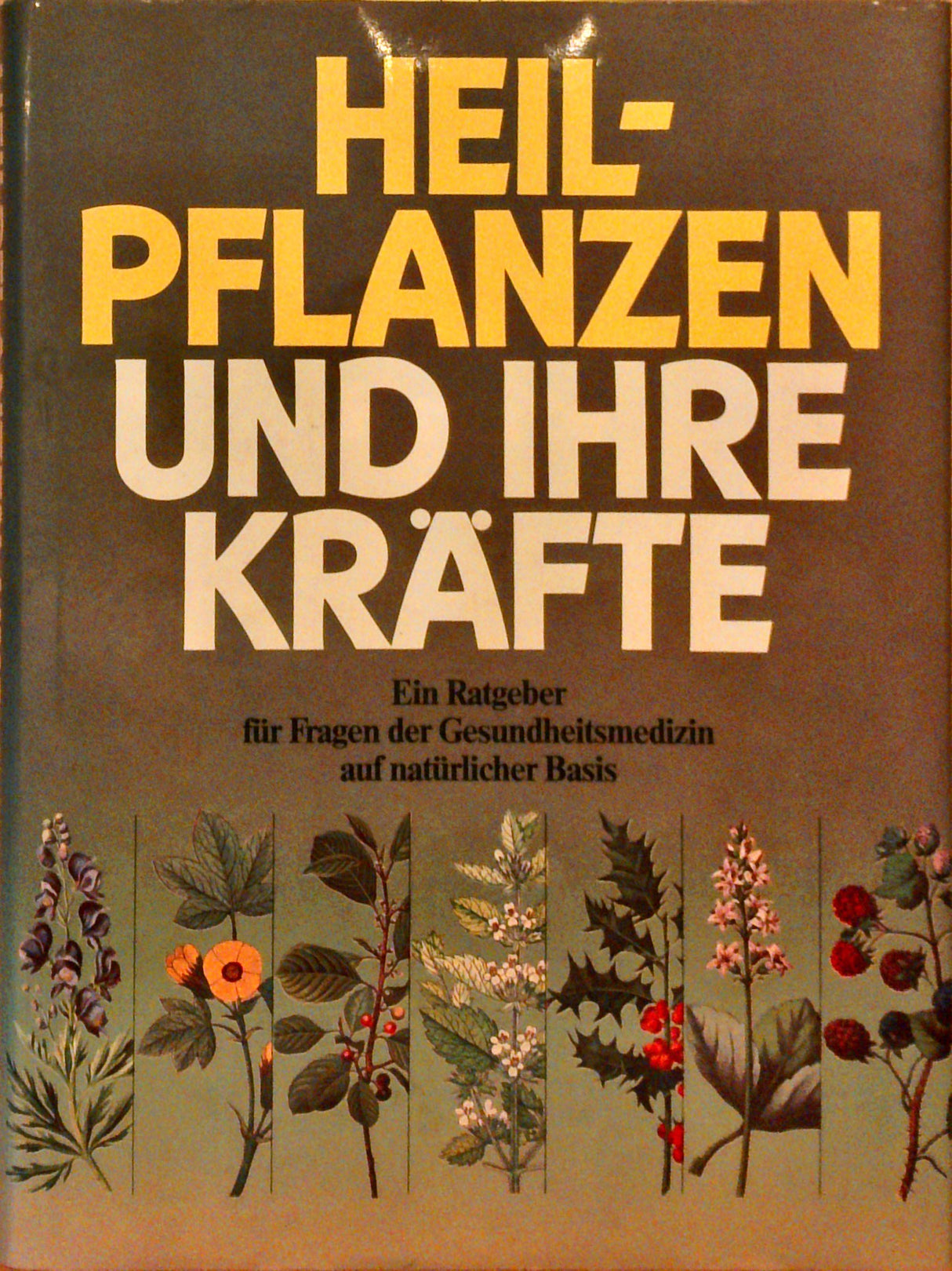 Heilpflanzen und ihre Kräfte.