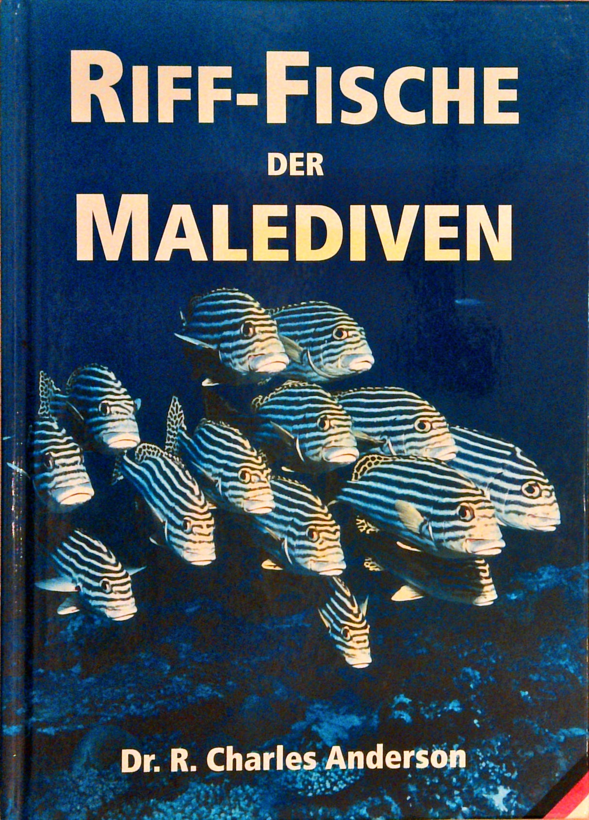 Riff-Fische der Malediven