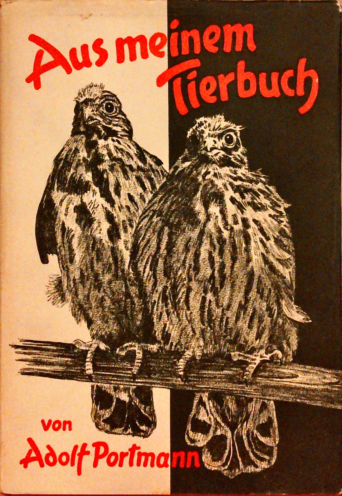 Aus meinem Tierbuch. Zoologische Skizzen