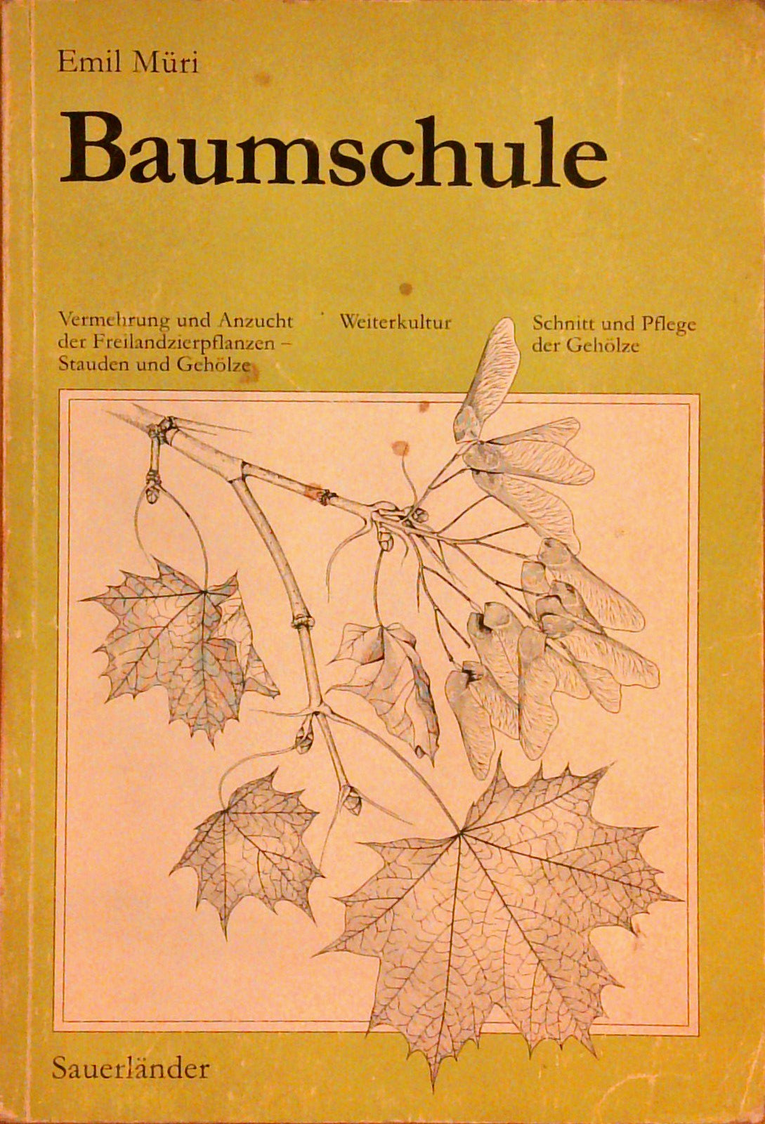 Baumschule. Vermehrung u. Anzucht d. Freilandzierpflanzen, Stauden u. Gehölze, Weiterkultur, Schnitt u. Pflege d. Gehölze