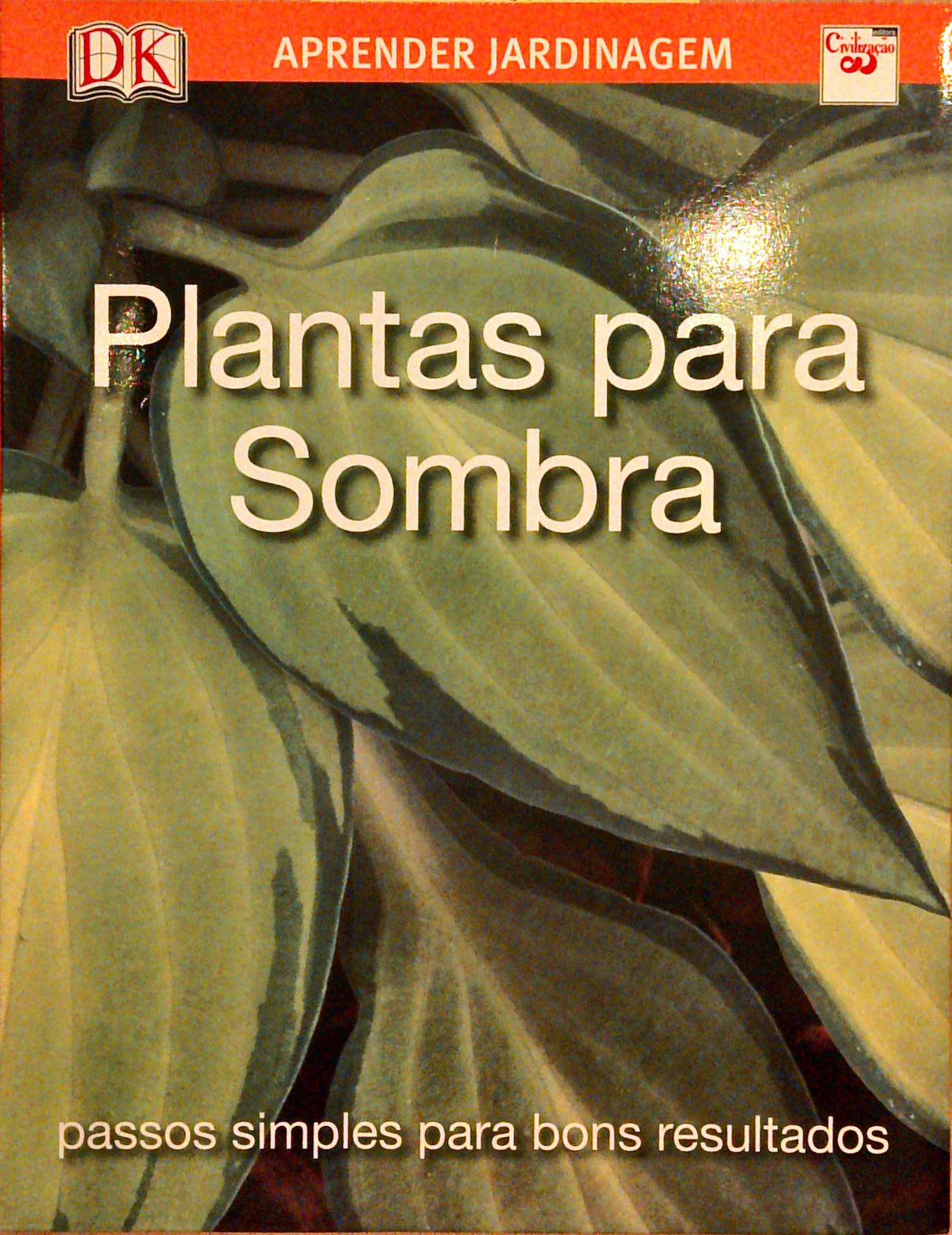 Plantas Para Sombra. Passos Simples Para Bons Resultados