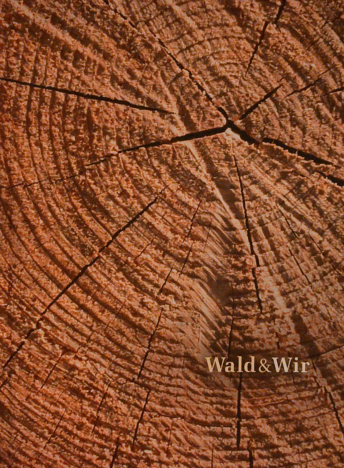 Wald & Wir. Potraits von Wäldern und Waldmenschen