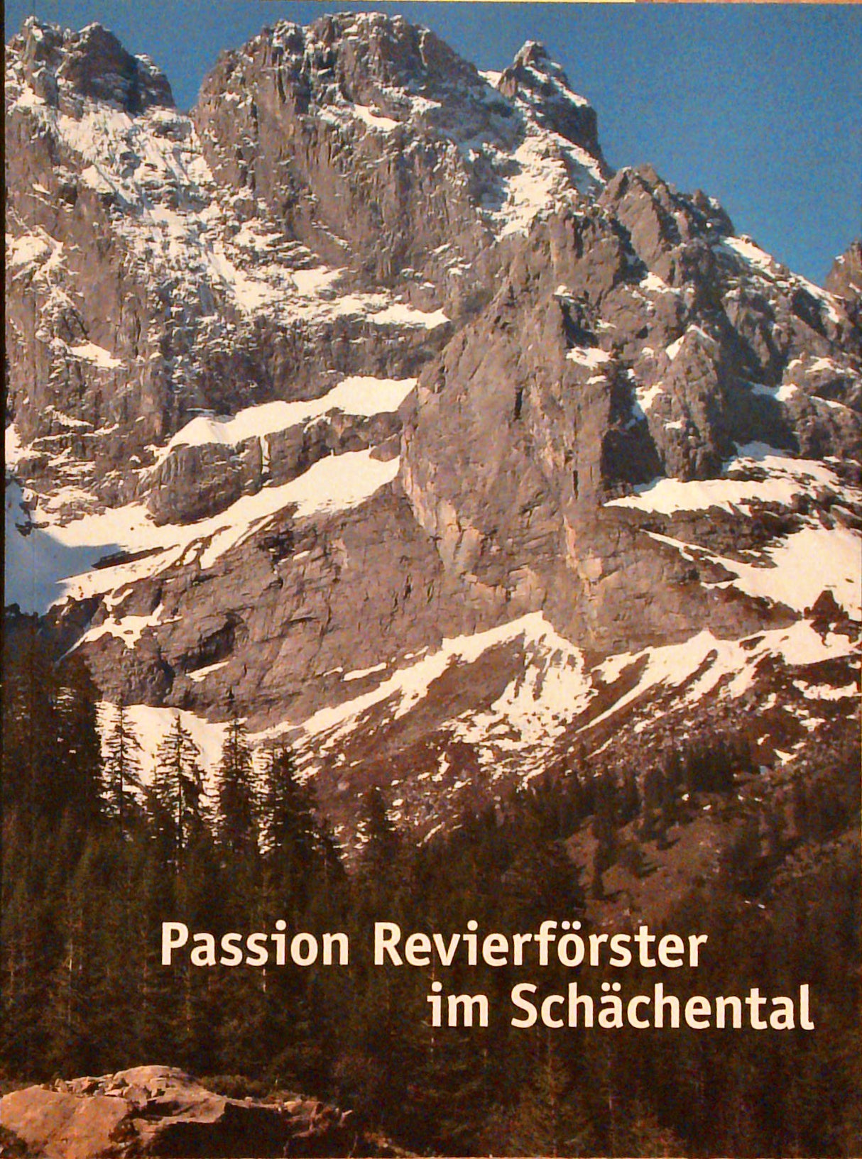 Passion Revierförster im Schächental : Aus dem Tagebuch von Revierförster Beat Herger