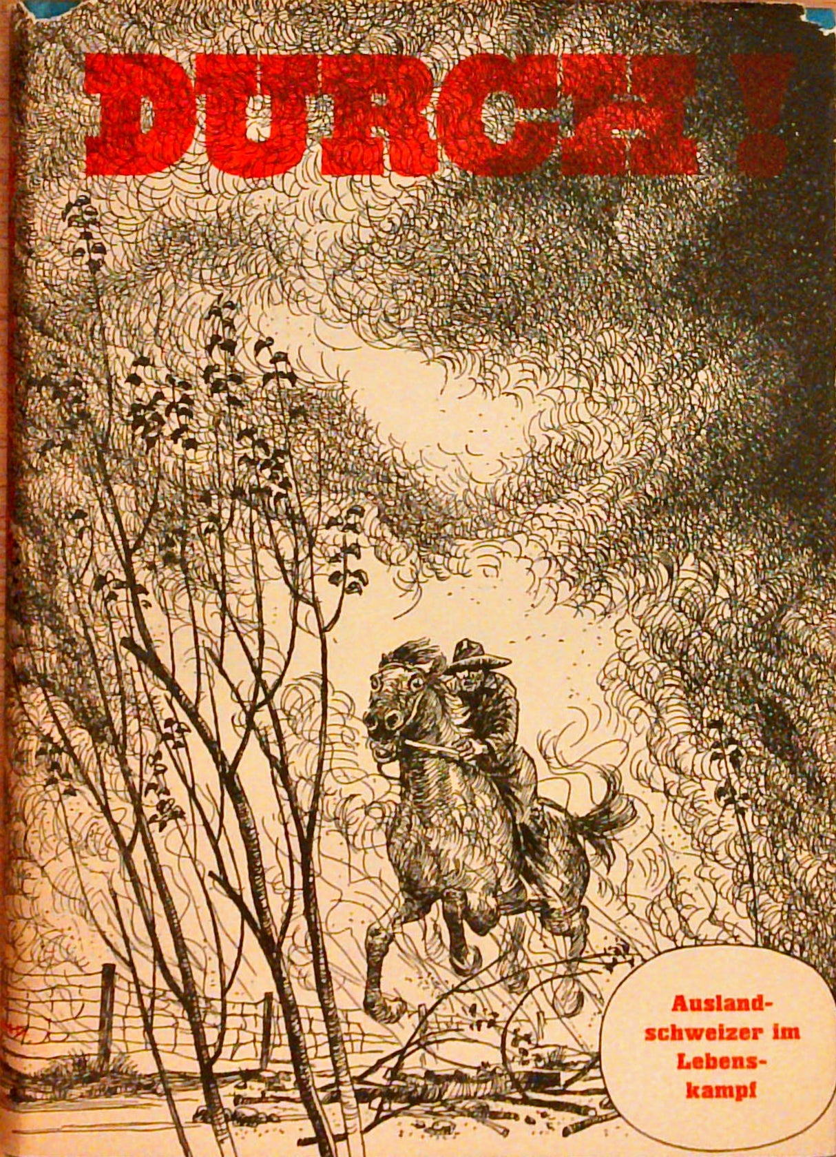 Durch! Auslandschweizer im Lebenskampf