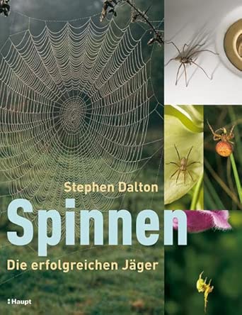 Spinnen: Die erfolgreichen Jäger cover image