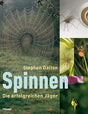 Spinnen: Die erfolgreichen Jäger cover image