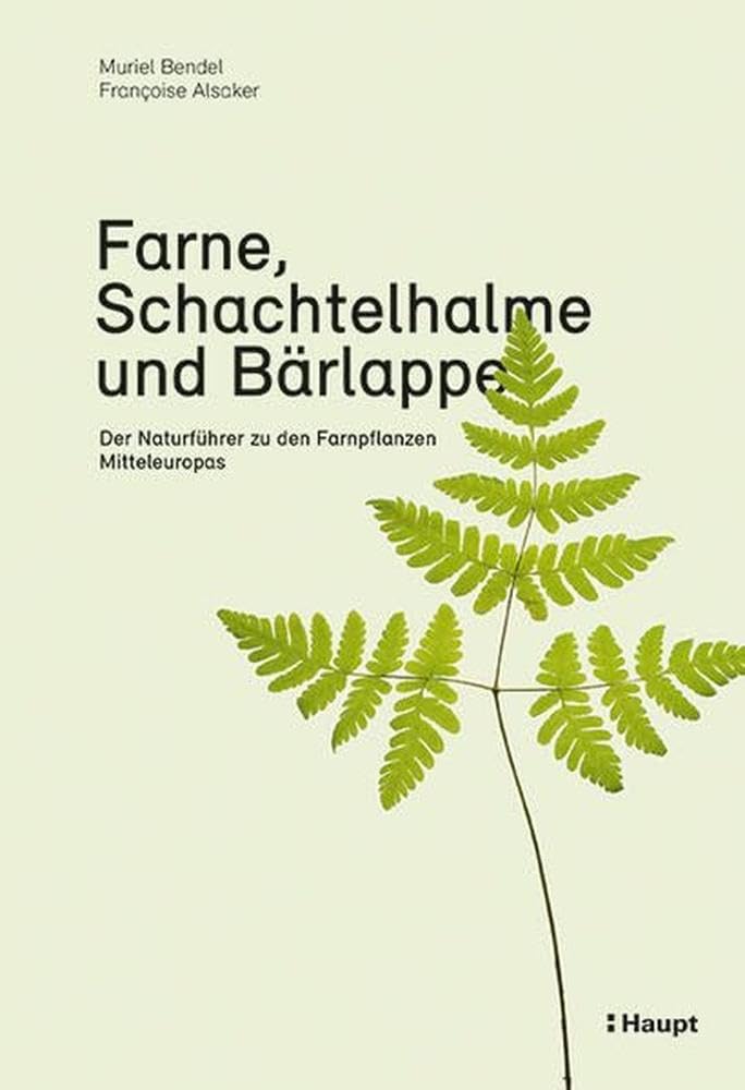 Farne, Schachtelhalme und Bärlappe: Der Naturführer zu den Farnpflanzen Mitteleuropas cover image