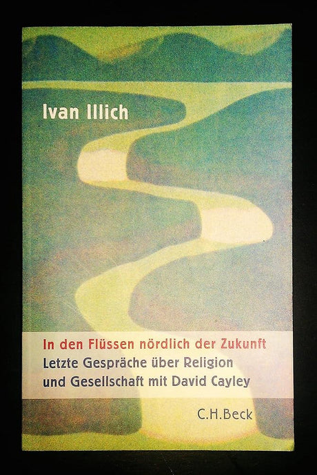 In den Flüssen nördlich der Zukunft: Letzte Gespräche über Religion und Gesellschaft mit David Cayley cover image