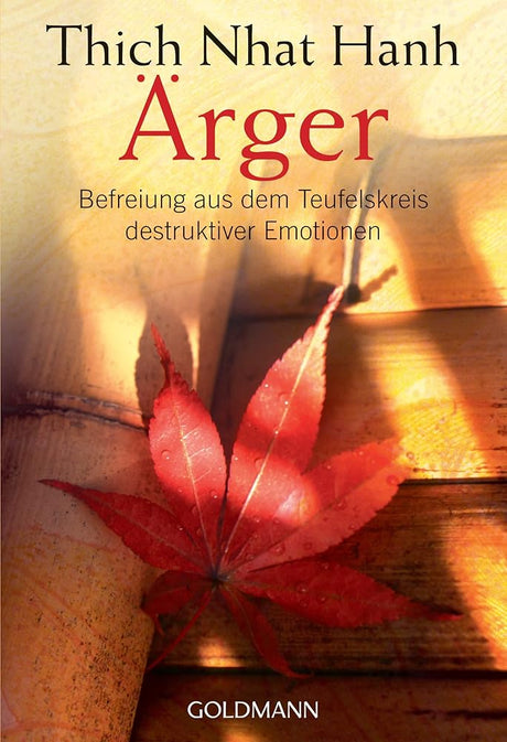 Ärger: Befreiung aus dem Teufelskreis destruktiver Emotionen cover image