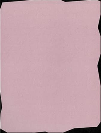 Katalog Mario Sala: DVSAVHELDS, "Die verletzten schreien aus vollem Hals: Es lebe die Schweiz!" Kunstprojekt zum Schweizerischen Landesmuseum cover image