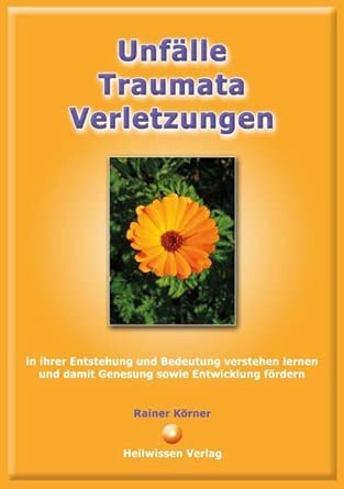 Unfälle - Traumata - Verletzungen: in ihrer Entstehung und Bedeutung verstehen lernen und damit Genesung sowie Entwicklung fördern cover image