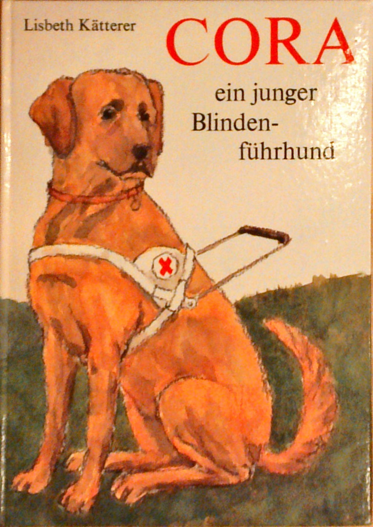 Cora, ein junger Blindenführhund