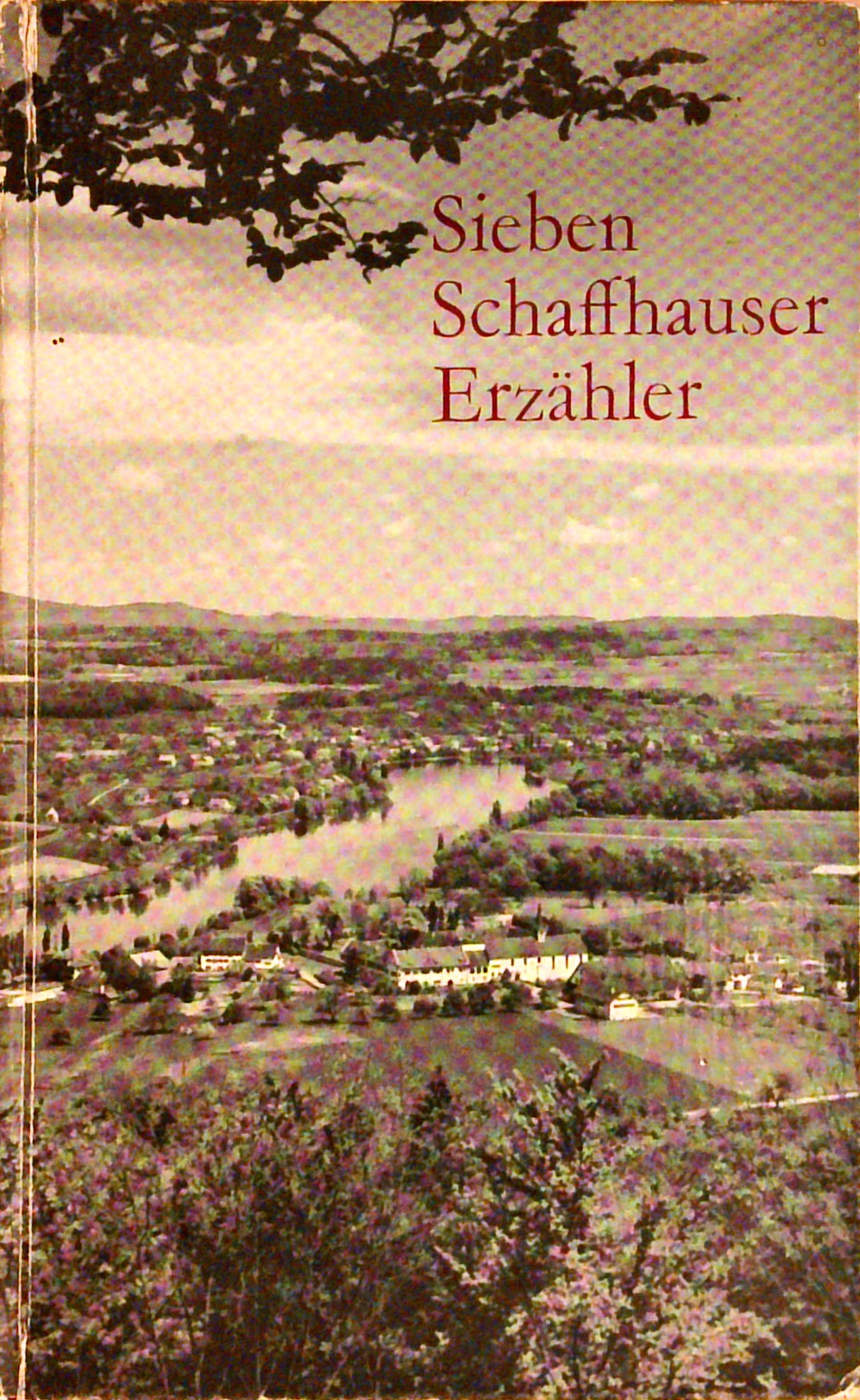 Sieben Schaffhauser Erzähler