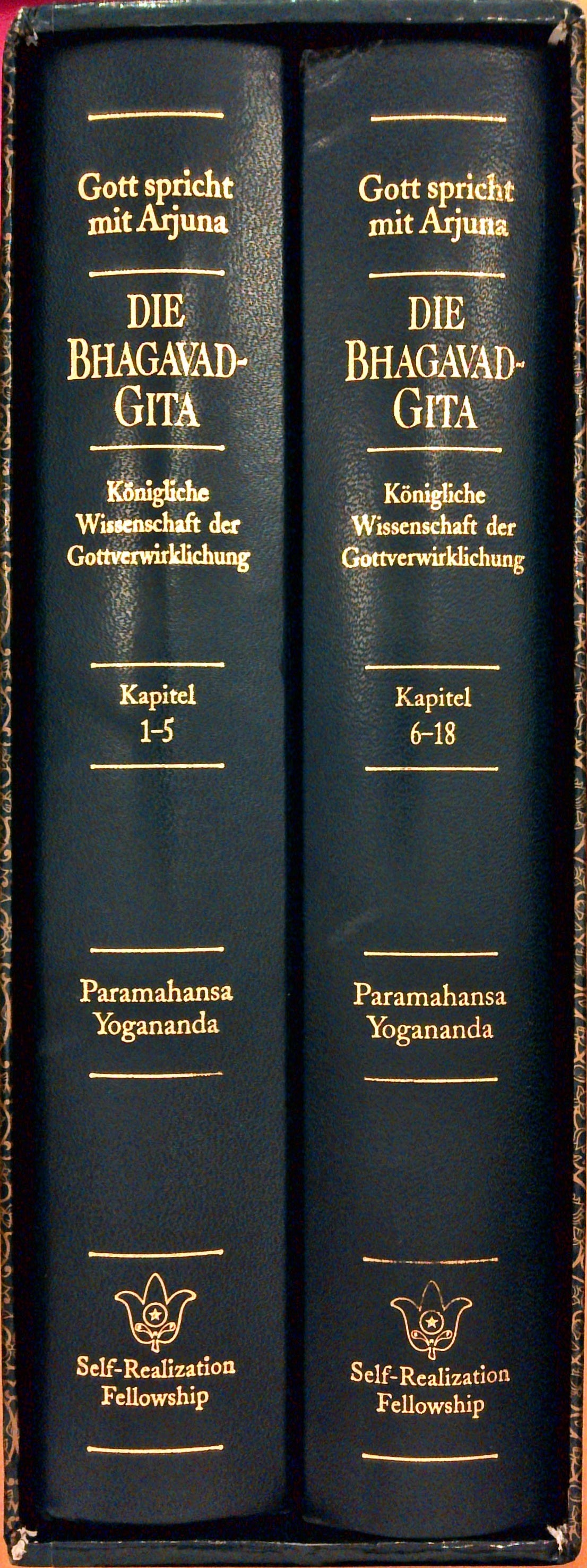 Die Bhagavad Gita