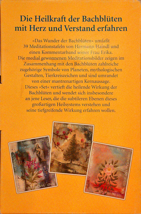 Das Wunder der Bachblüten. Begegnung mit heilenden Kräften (incl. 39 Meditationskarten): Eine Begegnung mit Heilkräften