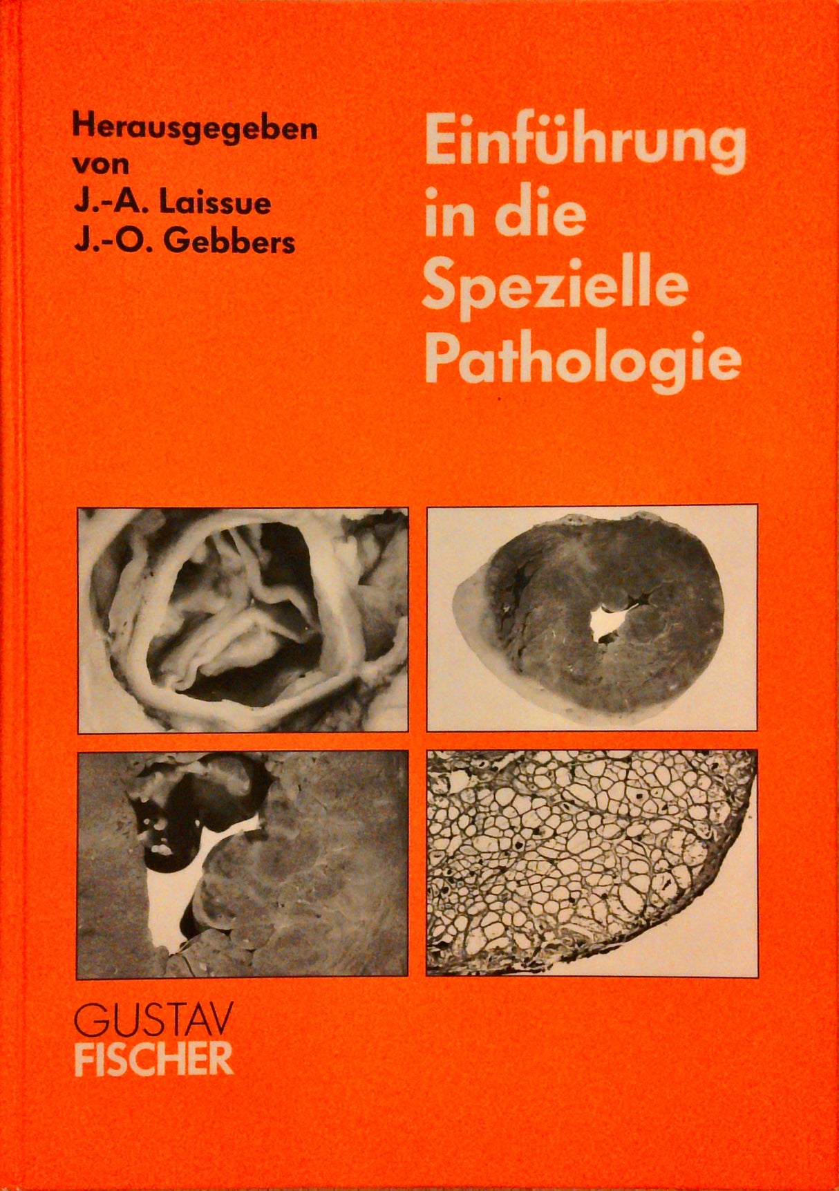 Einführung in die Spezielle Pathologie