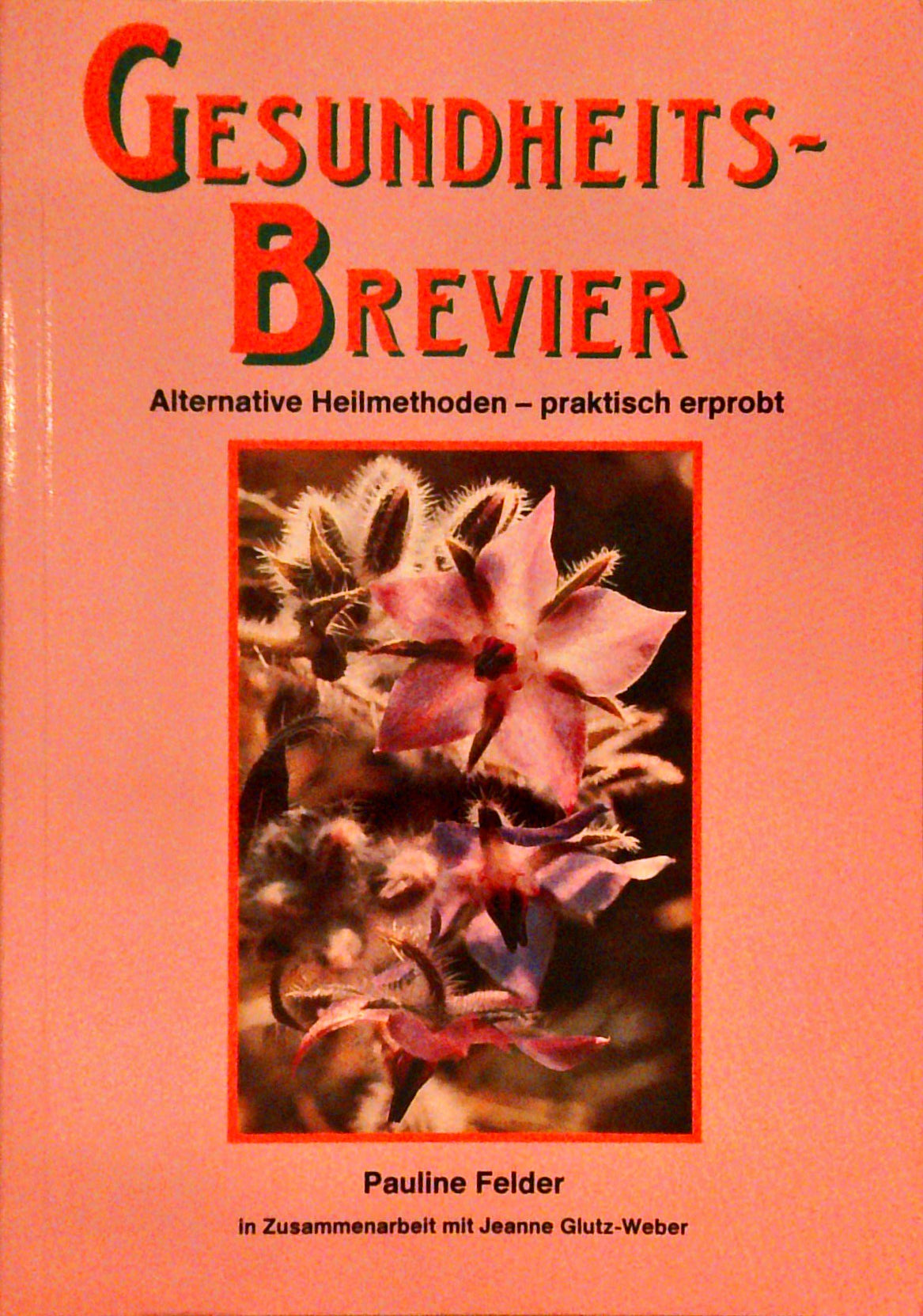 Gesundheitsbrevier. Alternative Heilmethoden - praktisch erprobt.