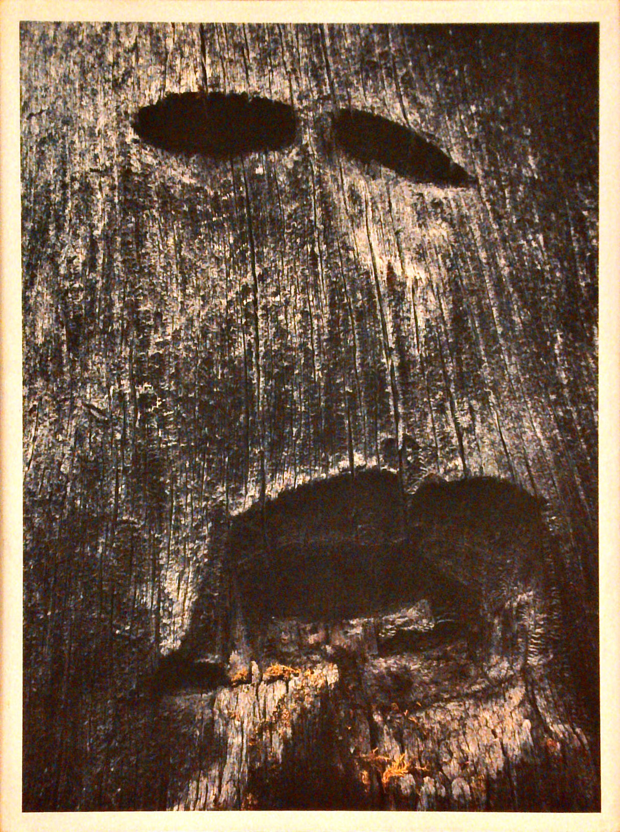 Holz